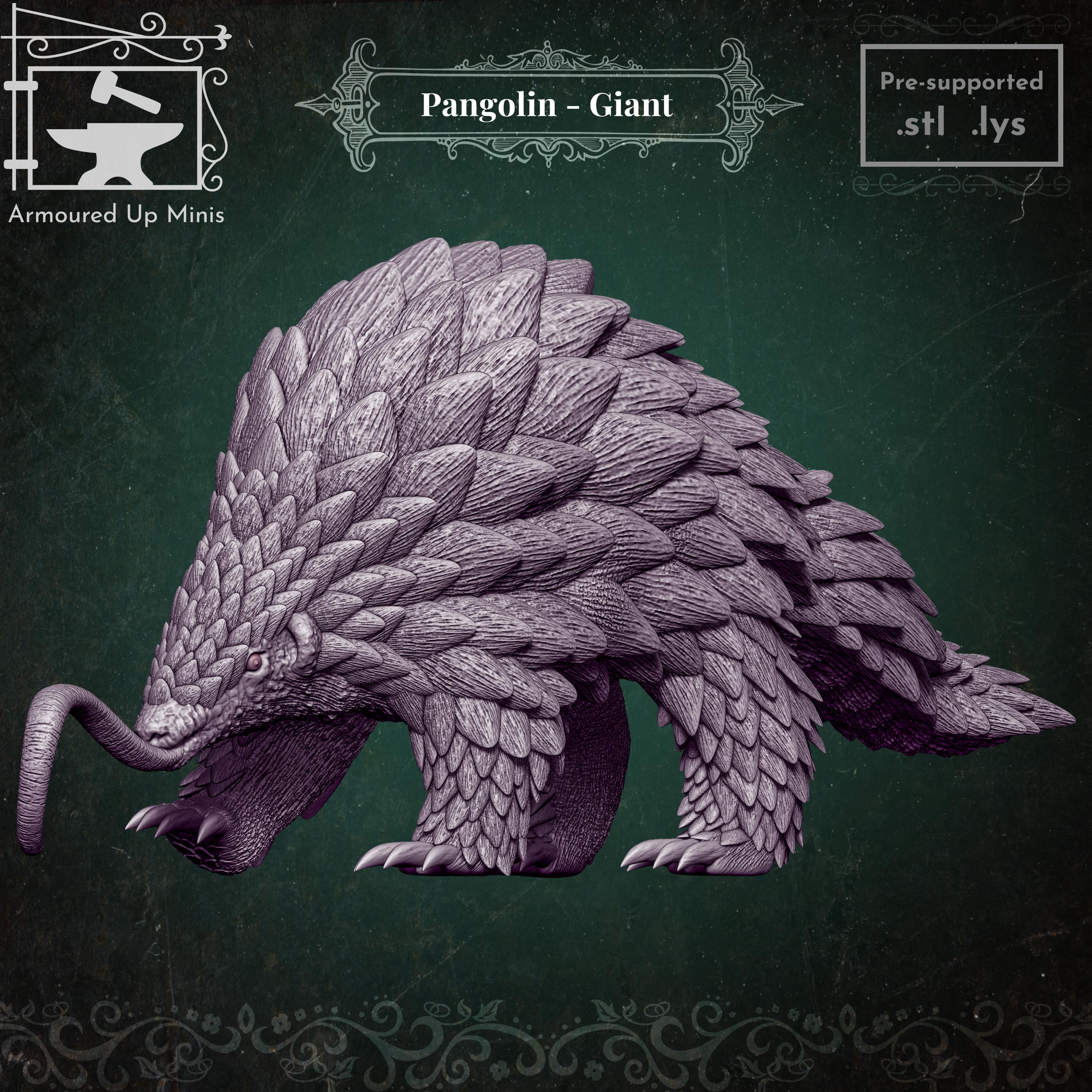 Pangolin - Giant